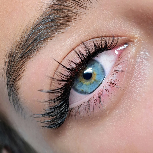 Formation Extensions de Cils : Cil à Cil, Hybride & Volume